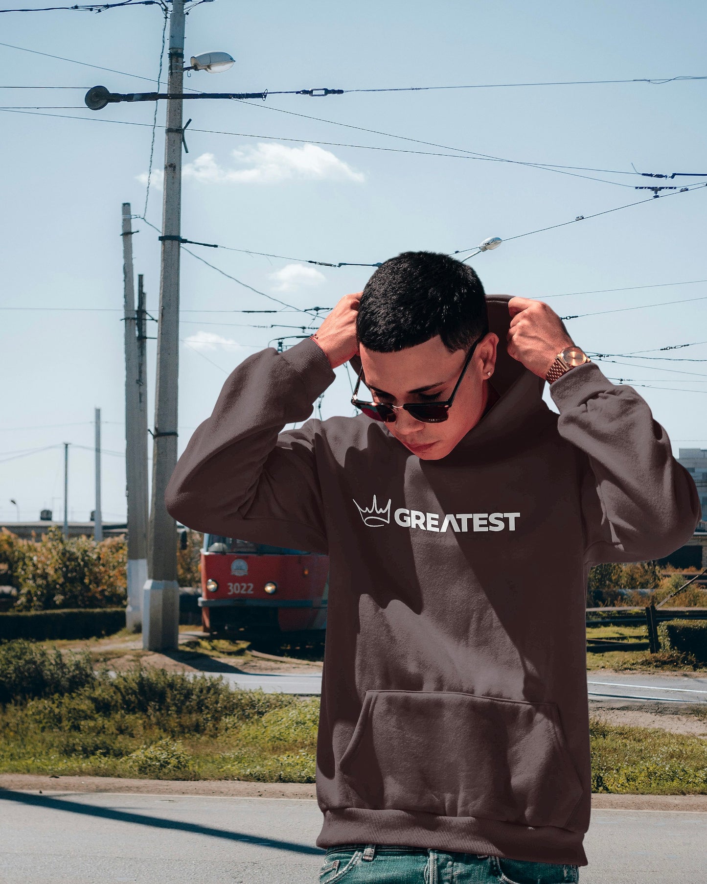 Brown Hoodie- Earthtone Drift